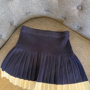Freshman Dark Blue and Beige A-Line Skirt